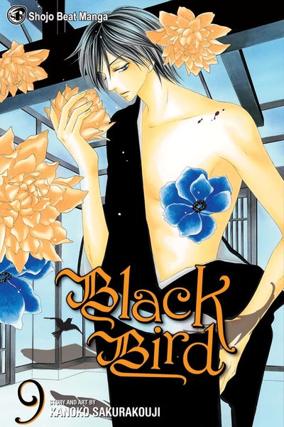 Buy Black Bird, Vol. 9 printed_book_paperback english - 40729 in UAE