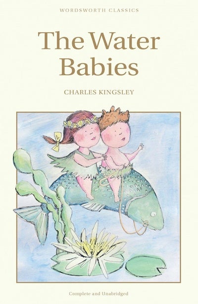 Buy The Water Babies printed_book_paperback english in UAE