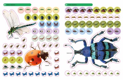 Buy Bugs Ultimate Sticker Book printed_book_paperback english - 42522 in UAE