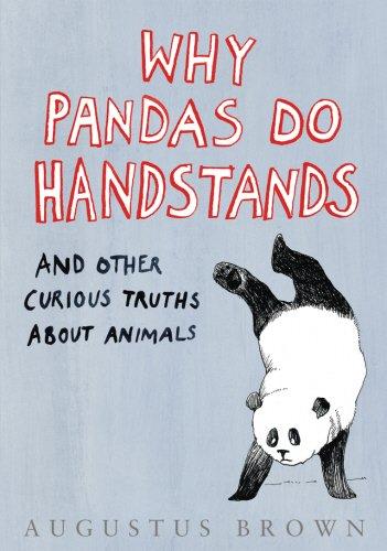 Buy Why Pandas Do Handstands - Hardcover English by Augustus Brown - 23/10/2006 in UAE