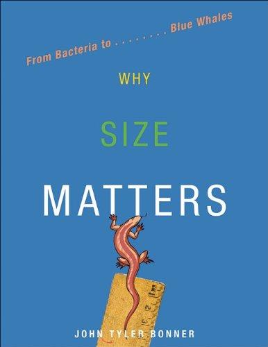 اشتري Why Size Matters 1 غلاف مقوى في الامارات