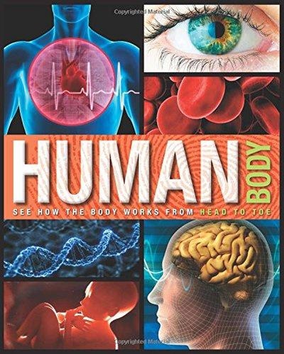 Buy Human Body - Hardcover English by Parragon India in UAE