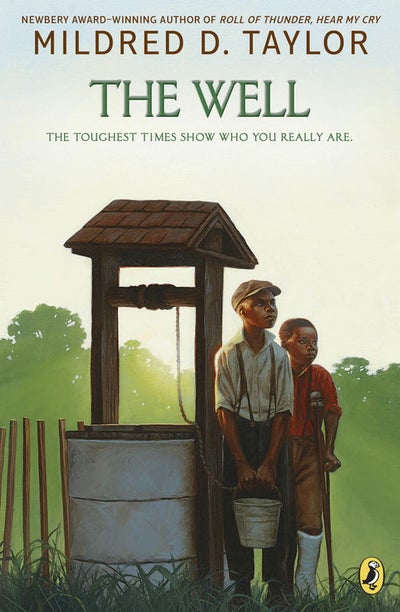 Buy The Well: David's Story printed_book_paperback english in UAE