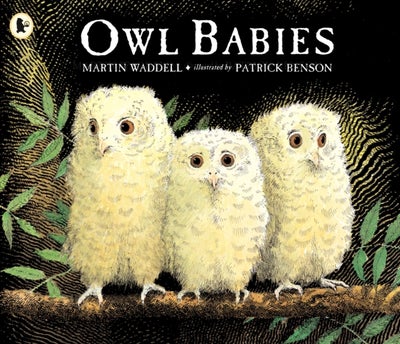 Buy Owl Babies - Paperback English by Martin Waddell - 08/09/1994 in UAE