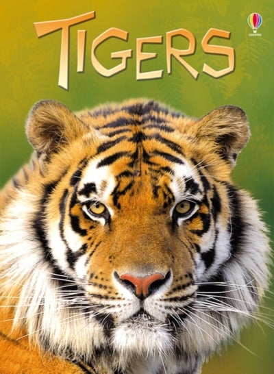 Buy Tigers printed_book_hardback english - 01/06/2012 in UAE