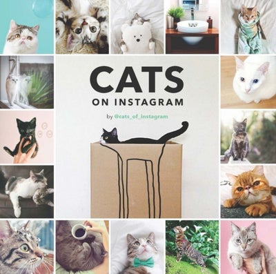 اشتري Cats on Instagram - Hardcover في الامارات