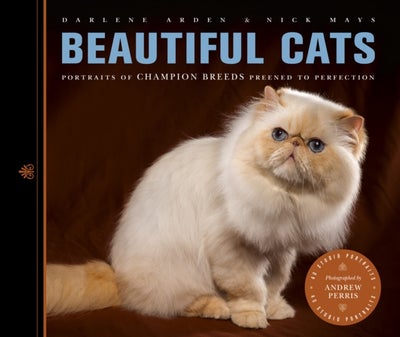 اشتري Beautiful Cats غلاف ورقي عادي في الامارات