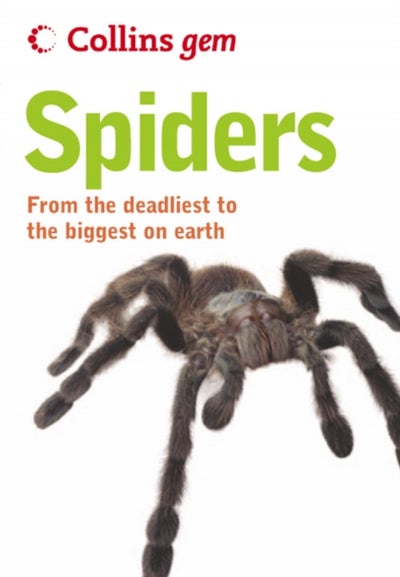 Buy Spiders printed_book_paperback english - 23/12/2004 in UAE