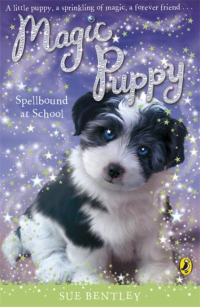 Buy Spellbound At School printed_book_paperback english in UAE