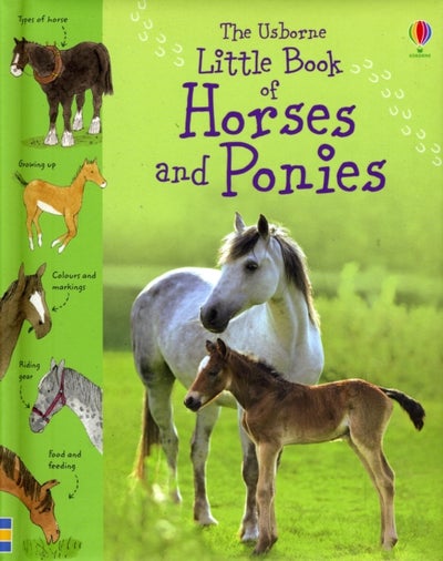 اشتري Little Book Of Horses And Ponies غلاف مقوى في الامارات