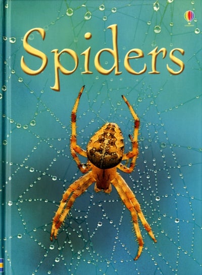 Buy Spiders printed_book_hardback english in UAE