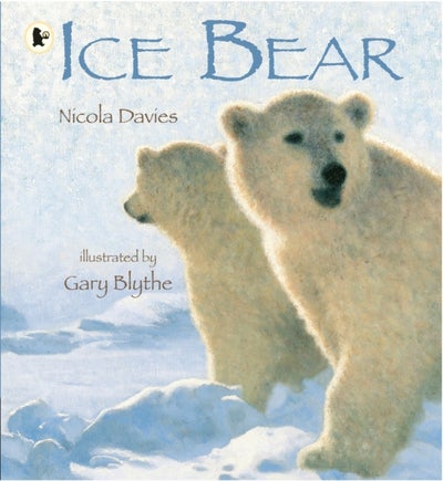 Buy Ice Bear - Paperback English by Nicola Davies in UAE