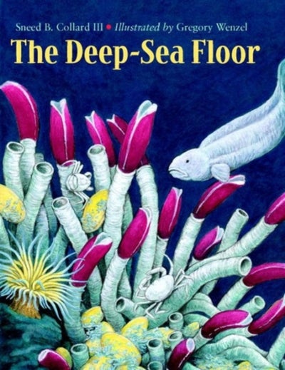 Buy Deep-Sea Floor printed_book_paperback english in UAE