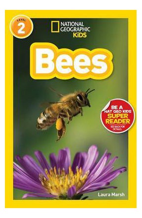 Buy Bees printed_book_paperback english in UAE