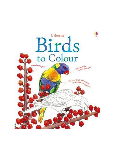 Buy Birds To Colour printed_book_paperback english in Saudi Arabia