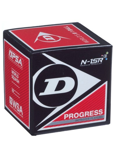 Buy Progress Squash Ball in UAE