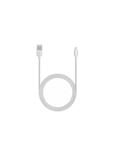 Buy Apple Lightning Cable Metal Silver in UAE