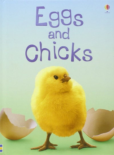 اشتري Eggs And Chicks غلاف مقوى في الامارات