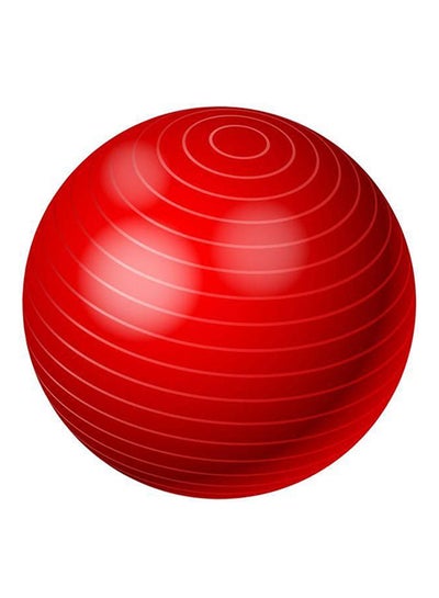 Buy Anti Burst Yoga Ball With Air Pump in Saudi Arabia