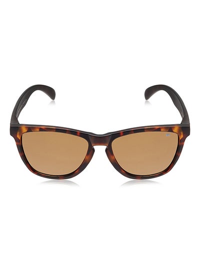 Buy Wayfarer Sunglasses in UAE