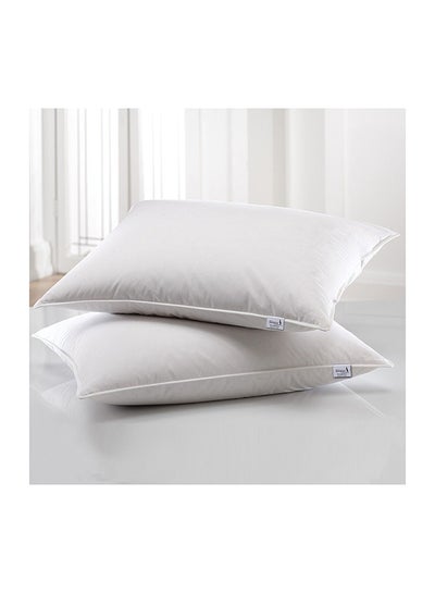 Buy 2-Piece Microfibre Pillow Set White 16x24inch in UAE