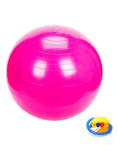 Buy Gym Exercise Swiss Ball 65cm in Egypt