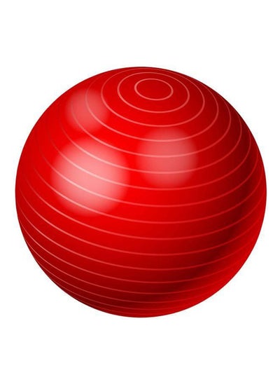 Buy Yoga Swiss Ball 65cm in Egypt