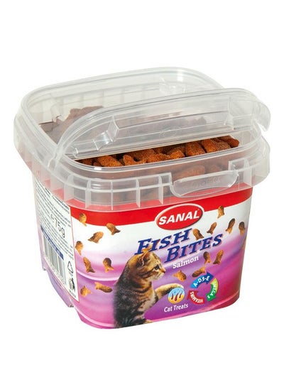 Buy Fish Bites For Cat Brown 75grams in UAE