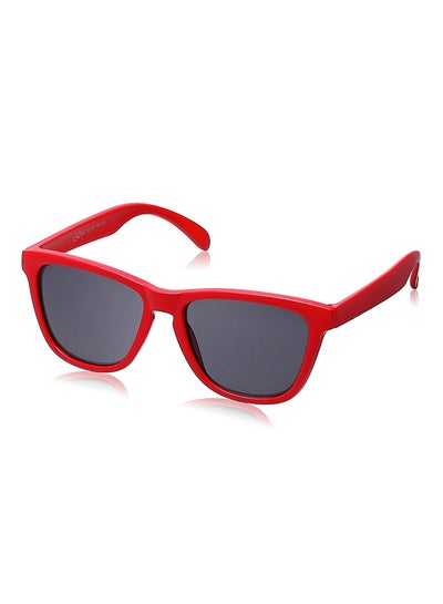 Buy Wayfarer UV Protected Sunglasses - Lens Size: 53 mm in UAE