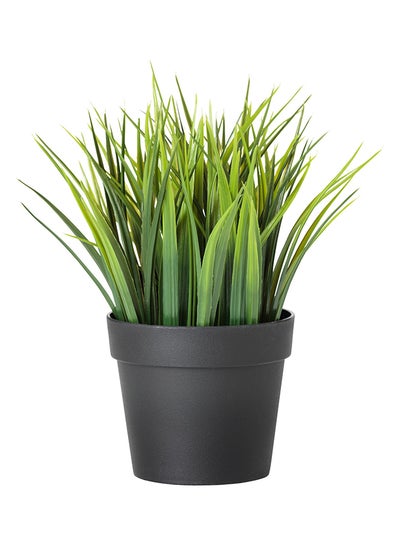 Buy Artificial Decorative Plant Green/Black 10.5centimeter in UAE