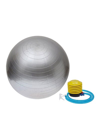 Swiss Ball Anti Rotation Anti-Burst Swiss Ball - 65 cm 65centimeter price in Saudi Arabia | Noon ...
