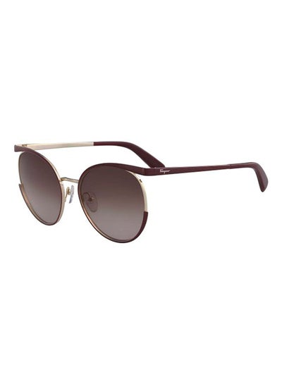 Buy Oval Sunglasses SF165-637-19-58 in UAE