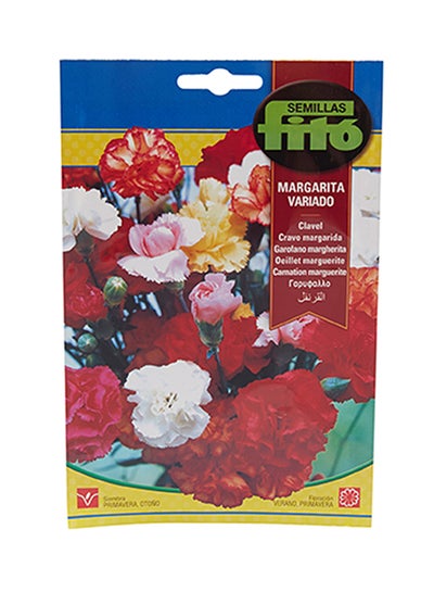 Buy Carnation Marguerite Mix in UAE