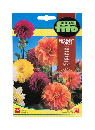 Buy Dahlia Decarative Mix in UAE