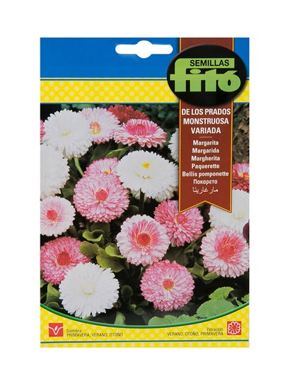 Buy Immortal Paper Everlasting Flower Seeds Multicolour in UAE