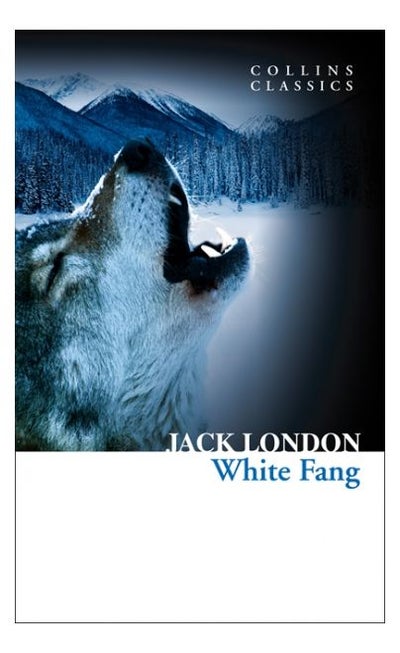 Buy White Fang (Collins Classics) printed_book_paperback english in UAE