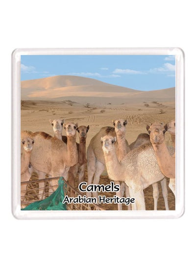 Dubai Souvenir Quote Magnet Camel Arab Blue/Beige/Green 64x64millimeter  price in UAE | Noon UAE | kanbkam