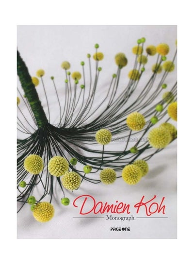 Buy Damien Koh Monograph - Paperback English by DAMIEN KOH in UAE