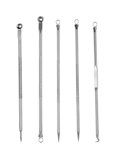 Buy 5-Piece Professional Pimple Remover Needle Set Silver in UAE