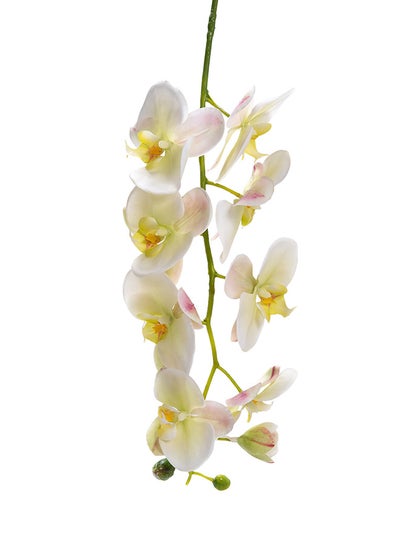 Buy Artificial Flower Orchid Green 95cm in Saudi Arabia