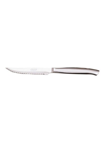 اشتري Stainless Steel Steak Knife 4-Inch فضي في الامارات