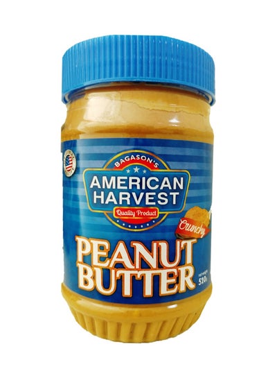 Buy Crunchy Peanut Butter 510grams in UAE