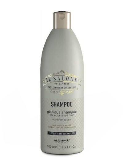 Buy Protein Shampoo Dry Damaged Hair 500ml in Saudi Arabia