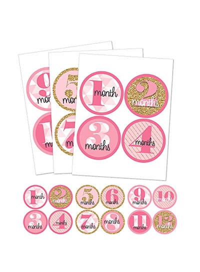 Baby Girl Monthly Milestone Stickers | Set of 20 Floral Gold Stickers | Birth to 12 Months + 8 Bonus Achievement Stickers | Best