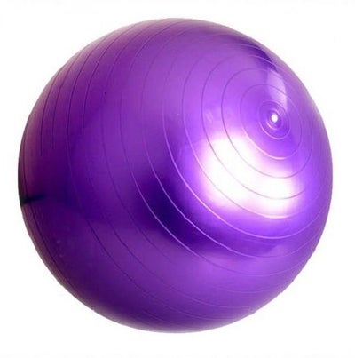Buy Exercise Swiss Ball - 65cm 65cm in UAE