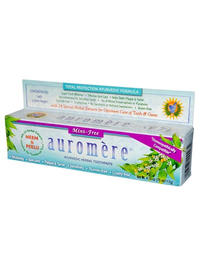 اشتري Mint-Free Ayurvedic Herbal Toothpaste 75 مل في الامارات