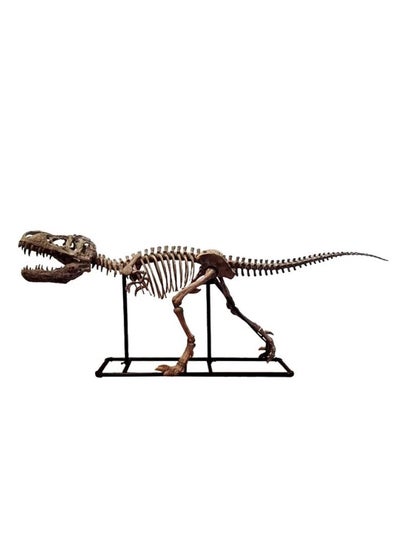 Buy Dinosaur Skeleton Model Brown 180 x 72cm in UAE