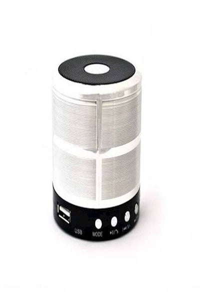 Buy Portable Bluetooth Speaker Fm Memory Card And Usb Support Silver in Saudi Arabia