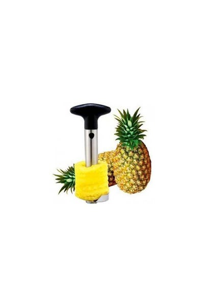 Buy Pineapple Corer Slicer Silver 9.4inch in Egypt