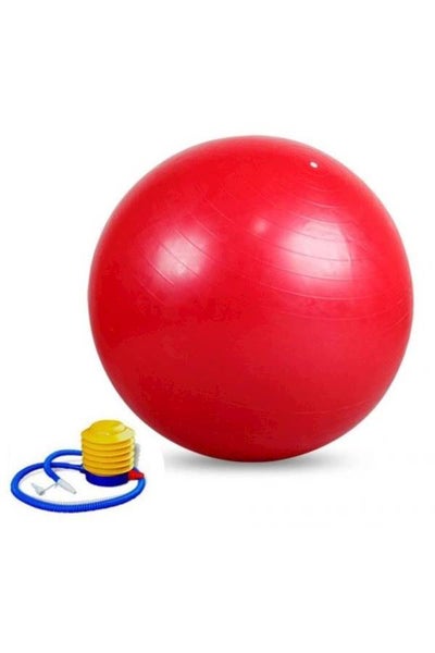 Buy Yoga Swiss Ball 65cm in UAE